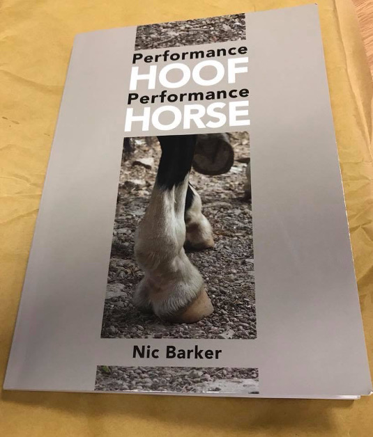 Performance HOOF Performance Horse